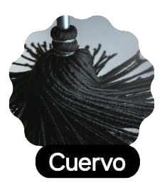 Cuervo